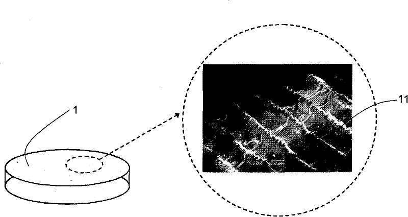 Tissue restoration structure derived from fish scales