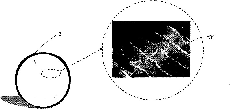 Tissue restoration structure derived from fish scales