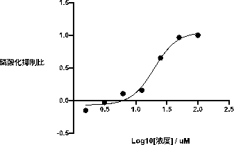 Application of a kind of ethyl ketone compound in preparation of medicine for treating inflammation