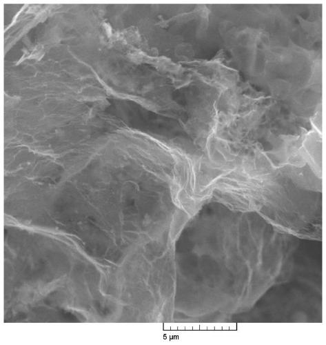 Biomass three-dimensional porous graphene and preparation method thereof