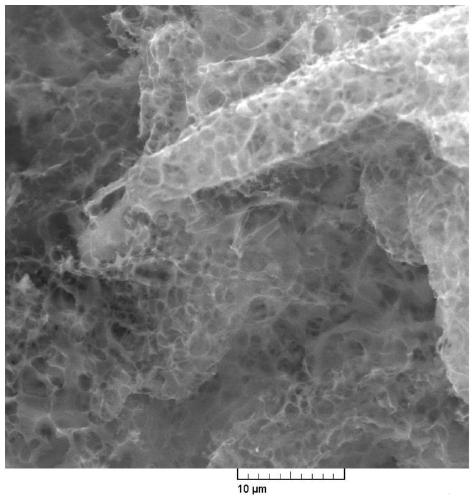 Biomass three-dimensional porous graphene and preparation method thereof