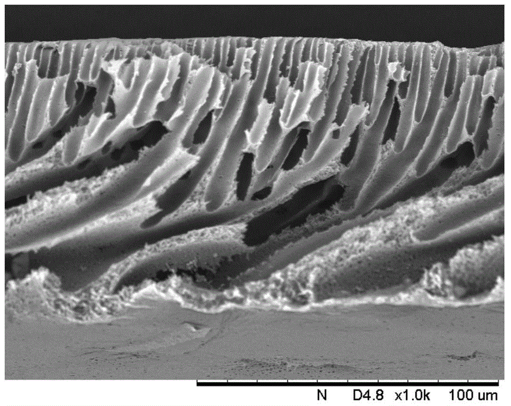 A kind of lignin cross-linked modified polymer separation membrane and use thereof