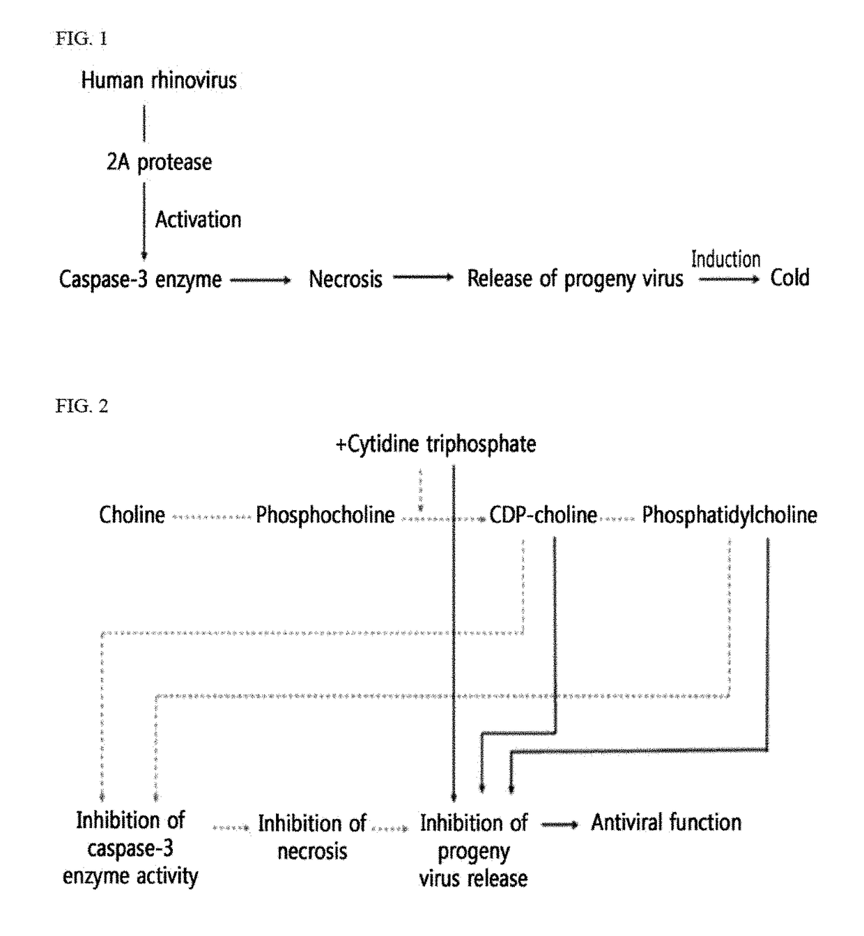 Antiviral composition containing material involved in phosphatidylcholine snythesis pathway