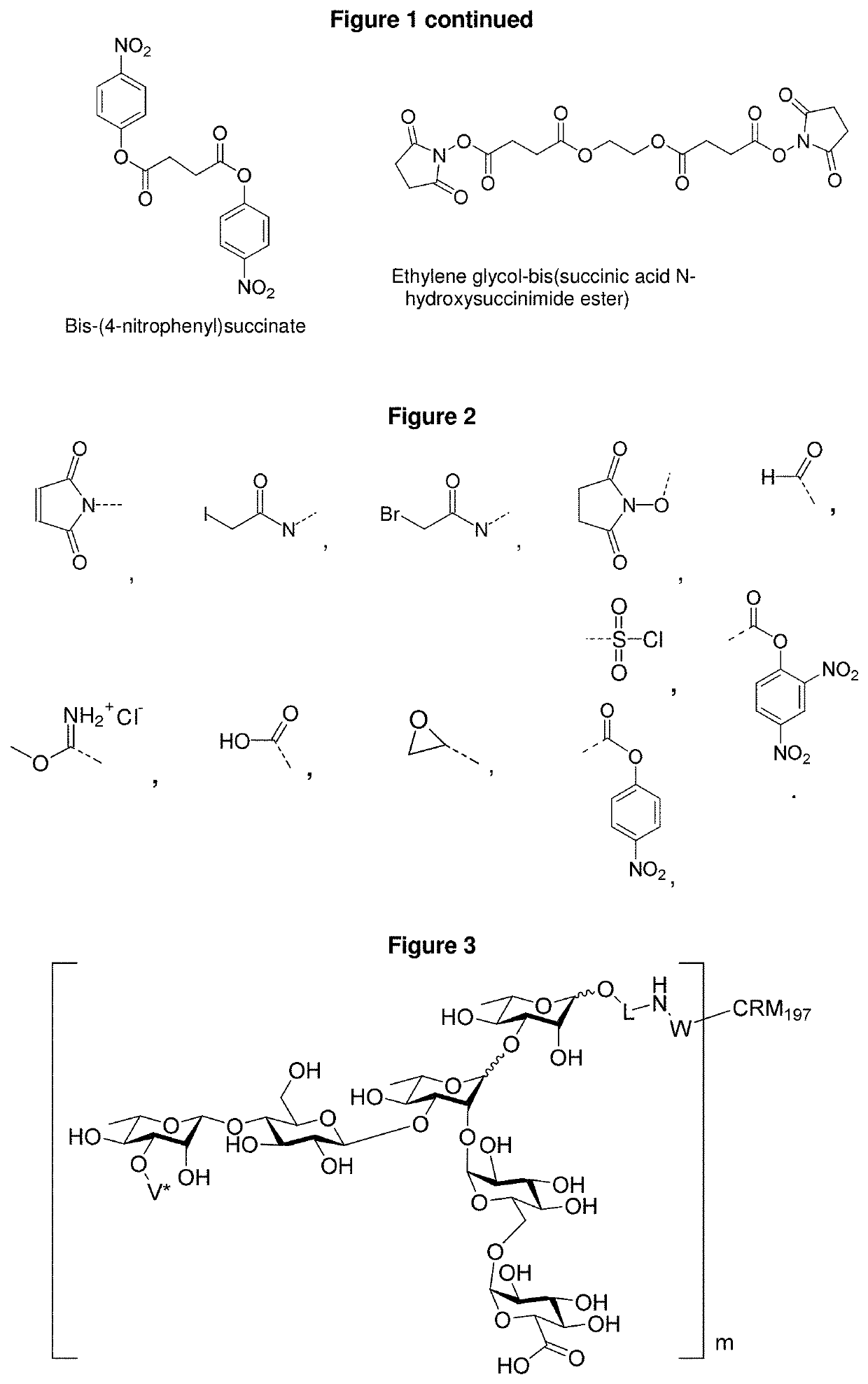 Synthetic vaccines against streptococcus pneumoniae serotype 2