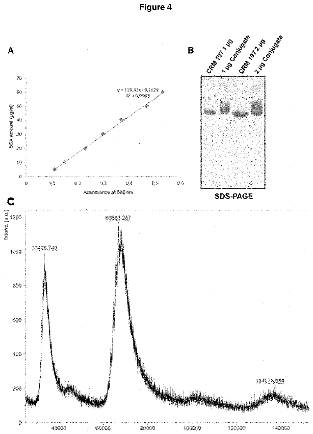 Synthetic vaccines against streptococcus pneumoniae serotype 2