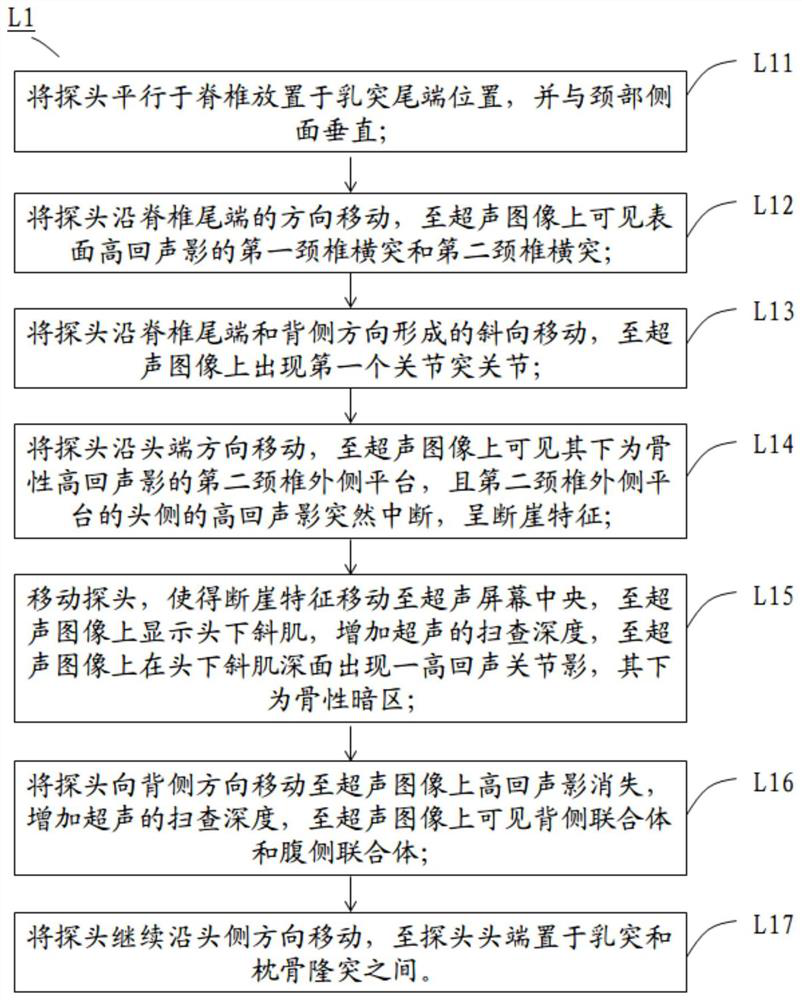 Neck spine ultrasonic scanning teaching method