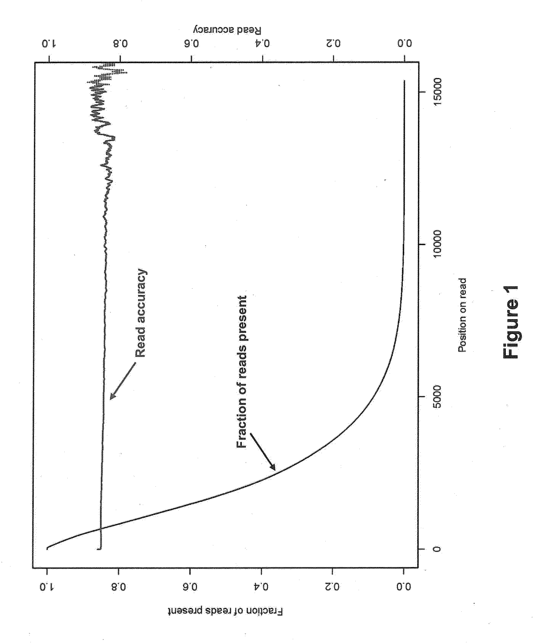 Sequence assembly and consensus sequence determination