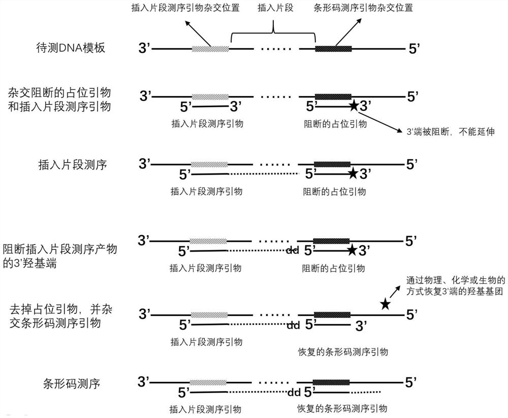 Sequencing method and kit for improving bar code splitting ratio