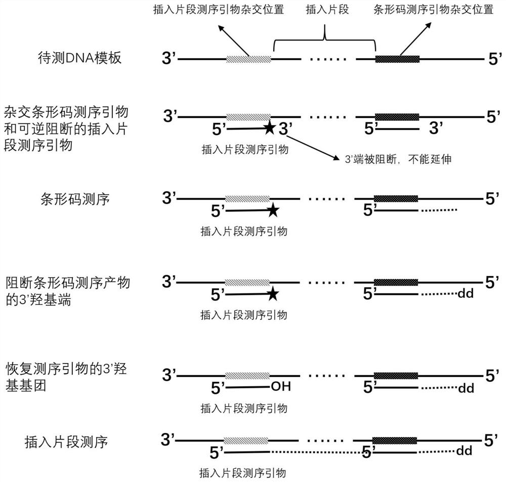 Sequencing method and kit for improving bar code splitting ratio