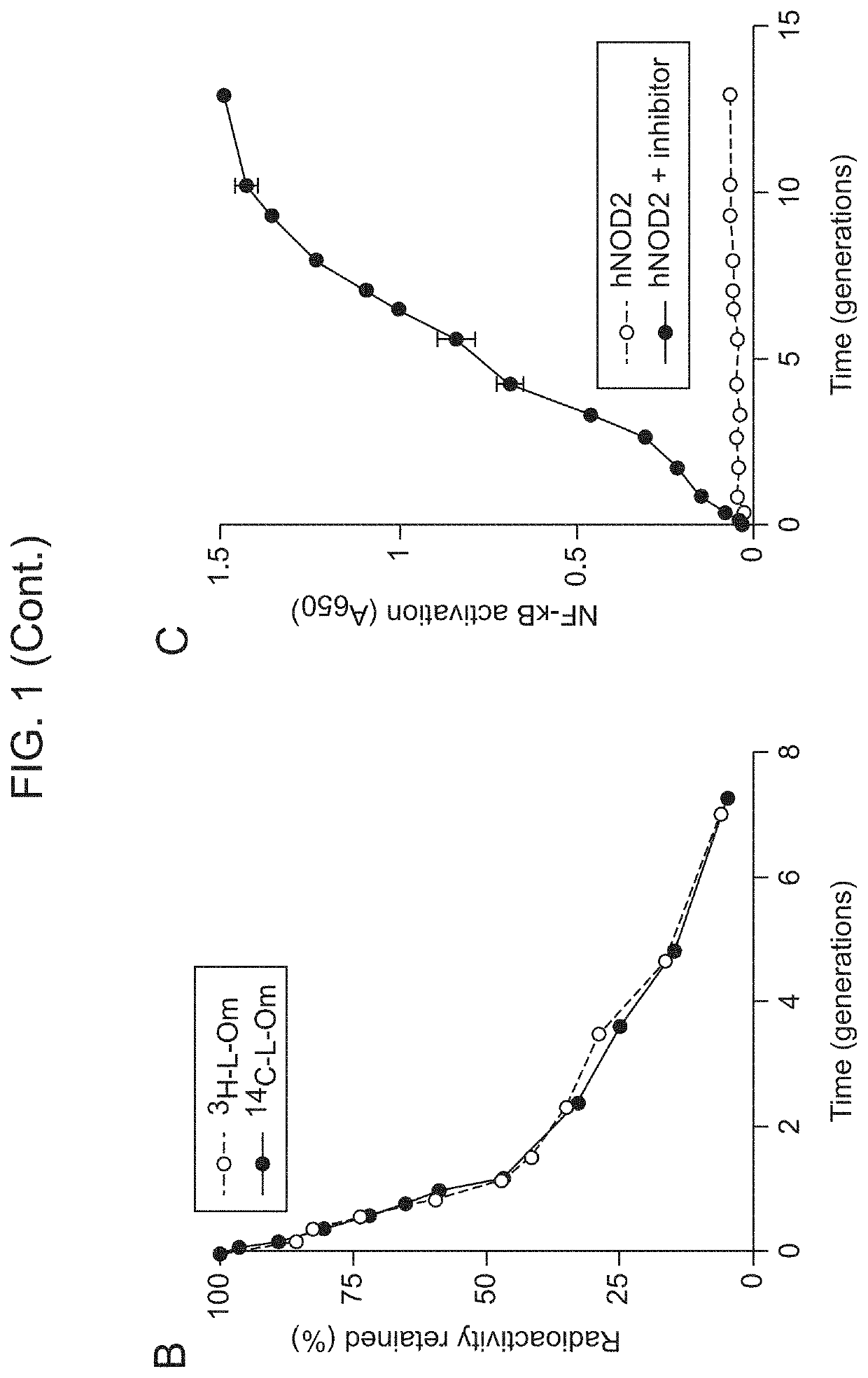 Borrelia burgdorferi peptidoglycan as a diagnostic and target for therapeutic intervention of lyme disease-related pathologies