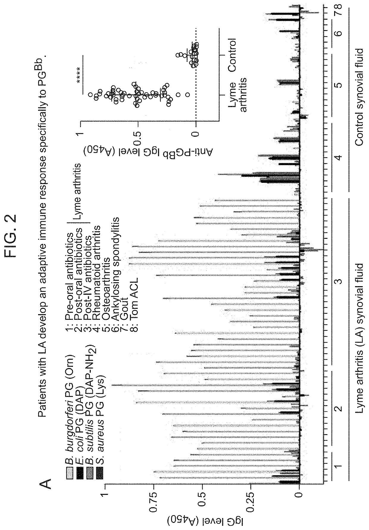 Borrelia burgdorferi peptidoglycan as a diagnostic and target for therapeutic intervention of lyme disease-related pathologies