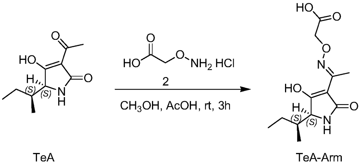 Immunochromatographic test strip for rapid detection of tenuazonic acid