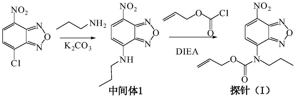 CO probe and preparation method and application thereof