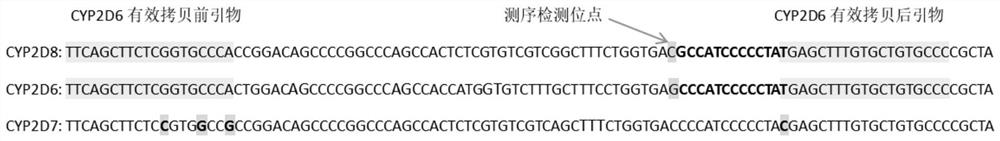 Gene detection kit used for [beta] receptor antagonist medication, and detection method and application of gene detection kit