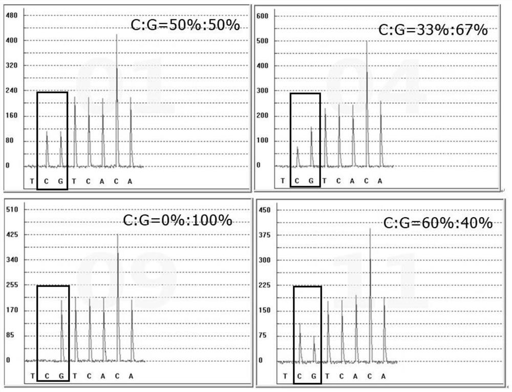 Gene detection kit used for [beta] receptor antagonist medication, and detection method and application of gene detection kit