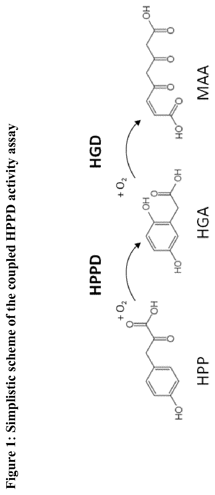 Hppd variants and methods of use