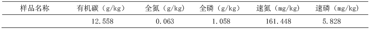 The method of inoculating arbuscular mycorrhizal fungi to promote the growth of H. mongolica