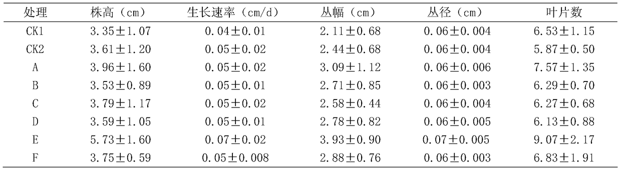 The method of inoculating arbuscular mycorrhizal fungi to promote the growth of H. mongolica