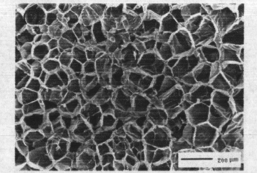 Process for preparing expandable polystyrene/silica airgel core-shell composite particle