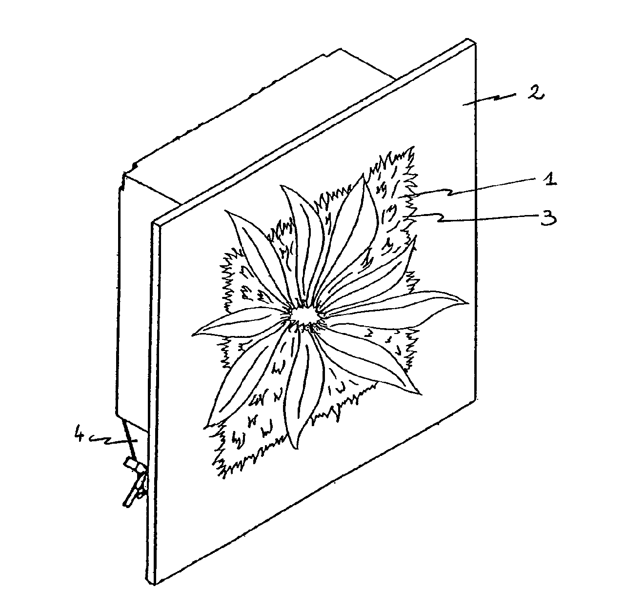 Live plant box