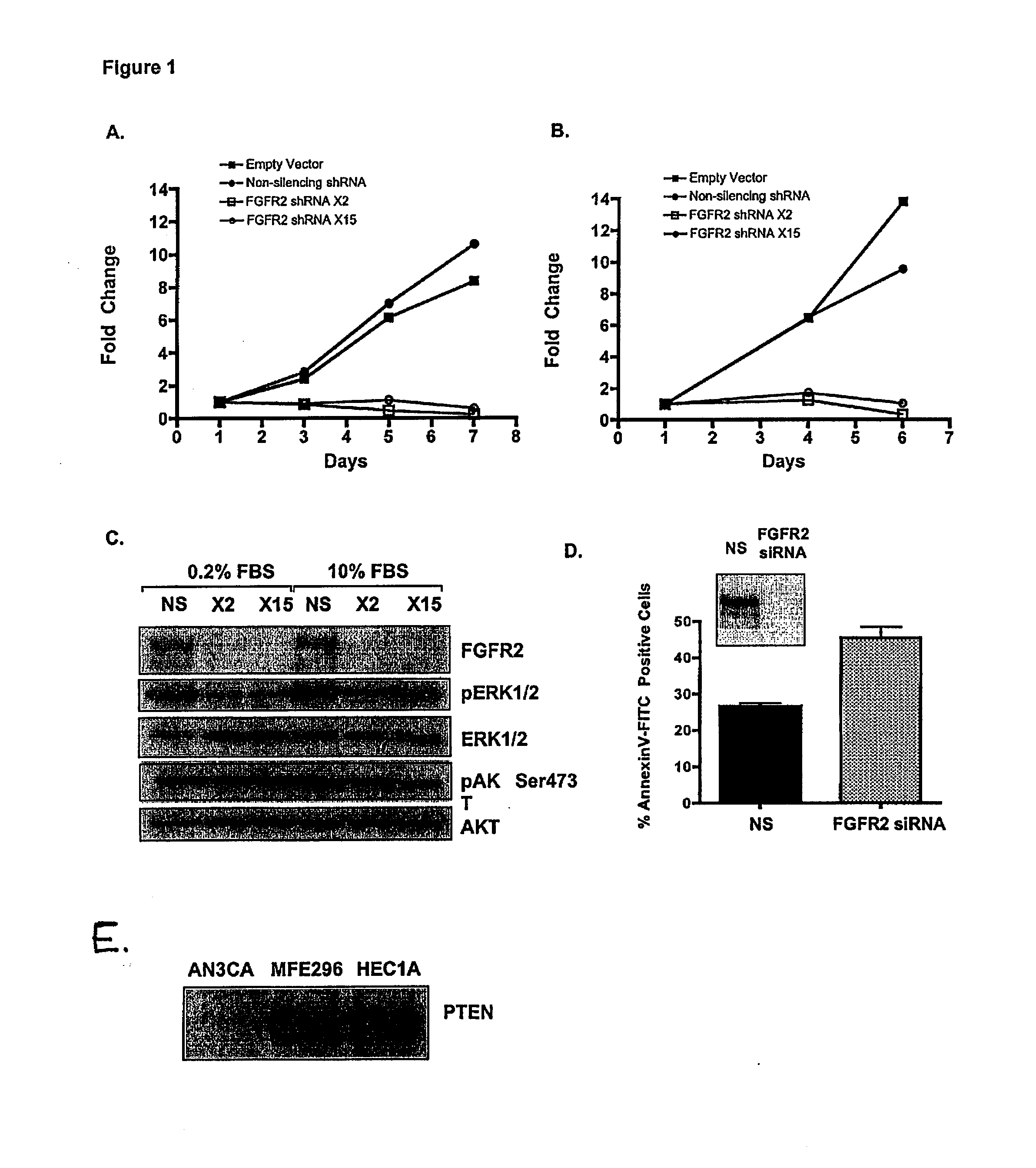 Methods of diagnosing, classifying and treating endometrial cancer and precancer