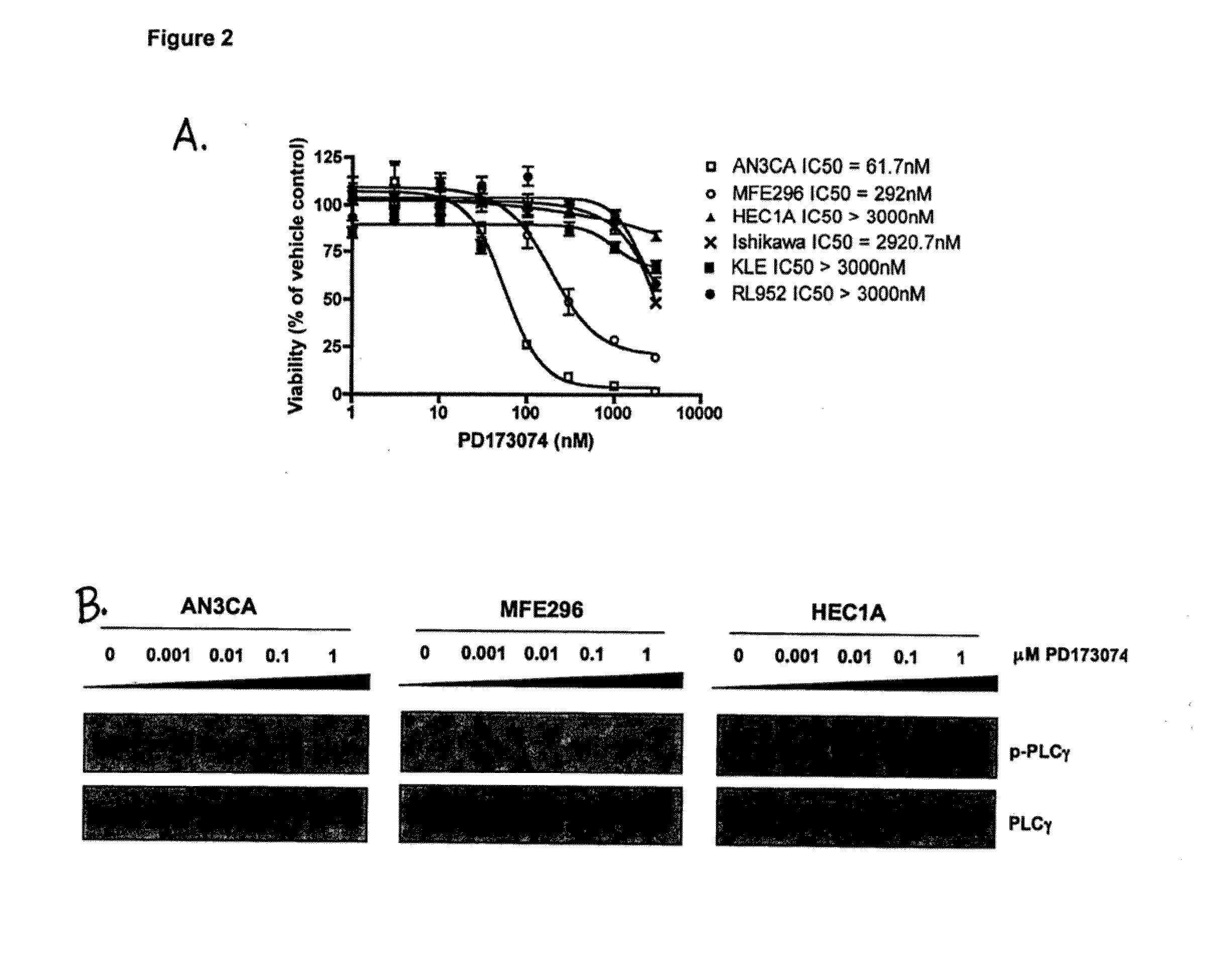 Methods of diagnosing, classifying and treating endometrial cancer and precancer