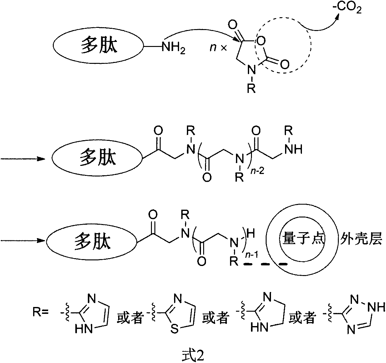 Method for synthesizing quantum dot-polypeptide compound with peptoid connecting arm