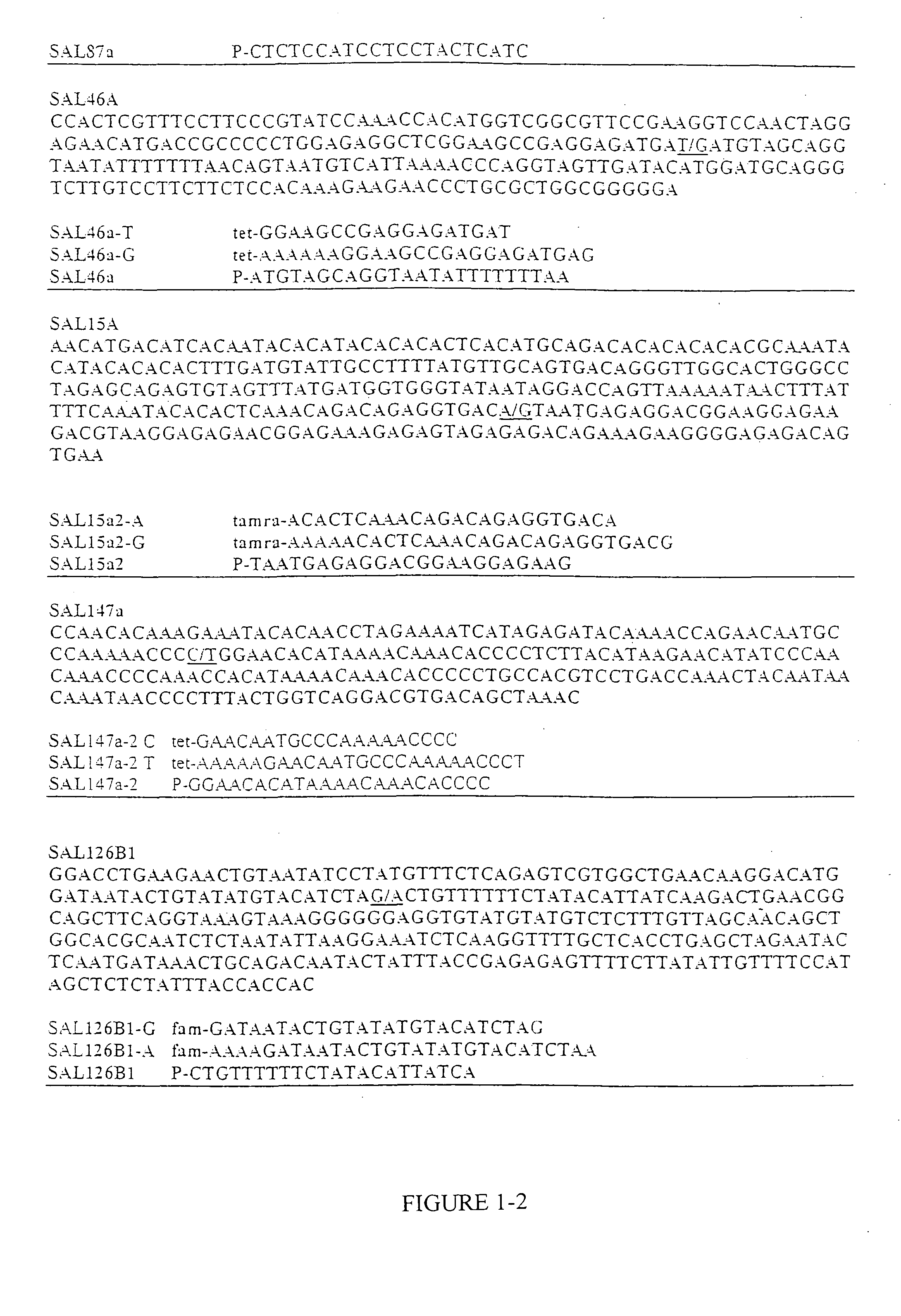 Verification of food origin based on nucleic acid pattern recognition