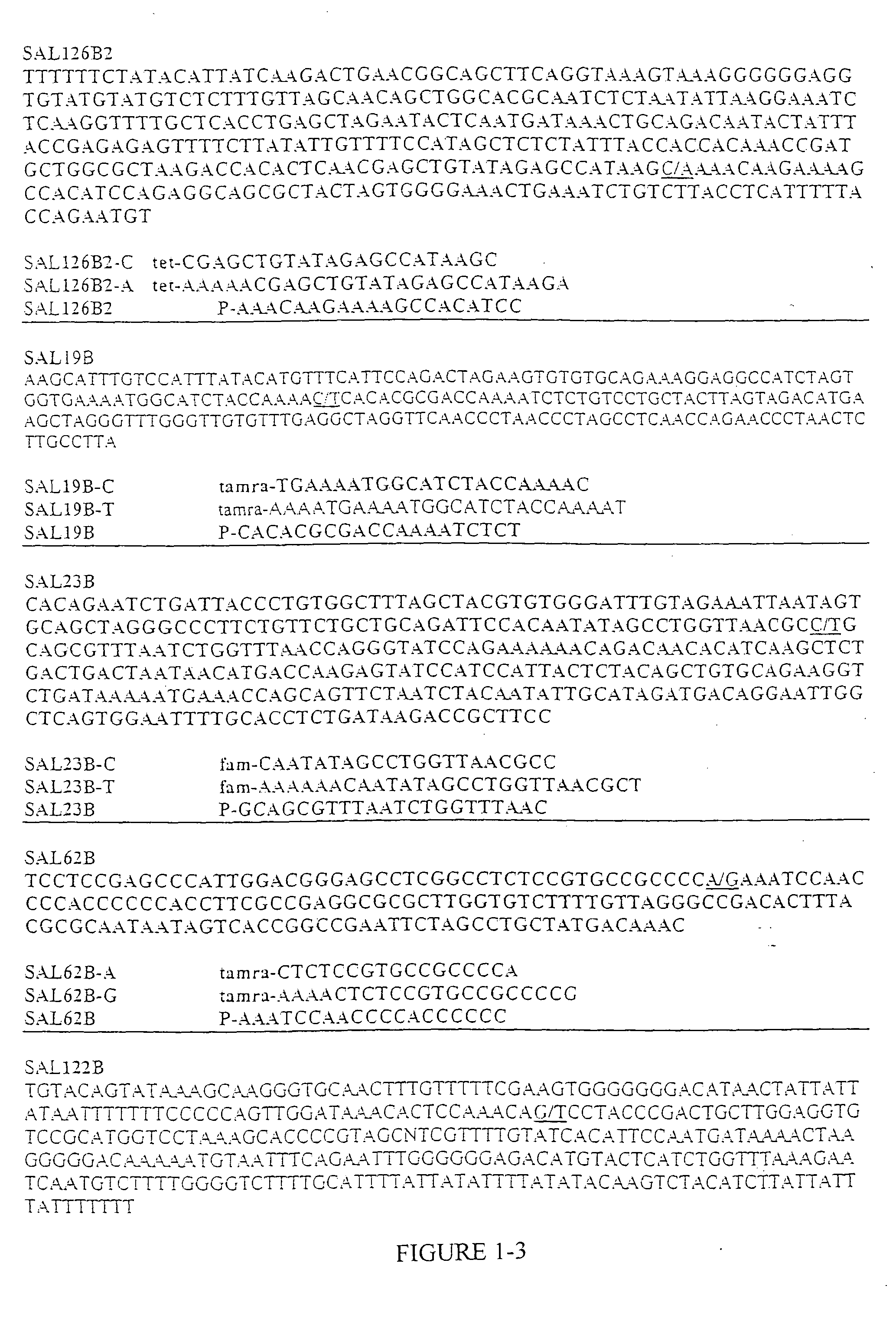 Verification of food origin based on nucleic acid pattern recognition