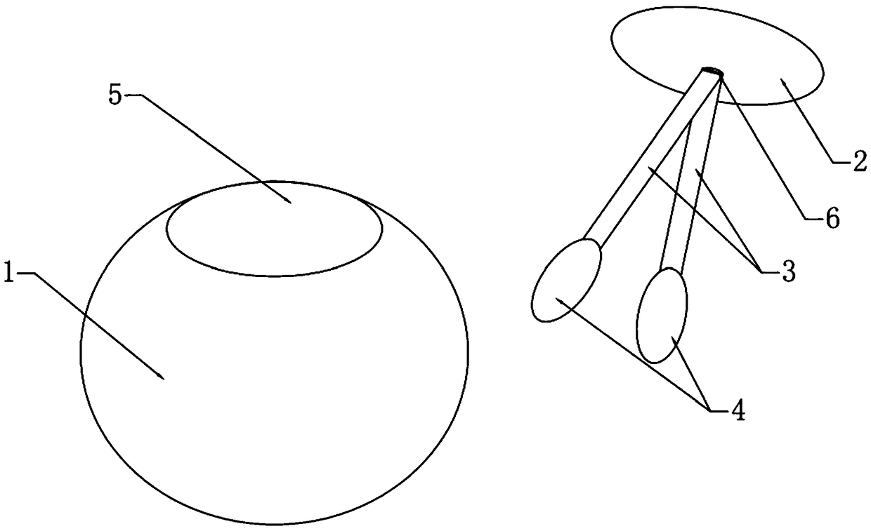 Packaging structure of tangerine-Pu'er tea