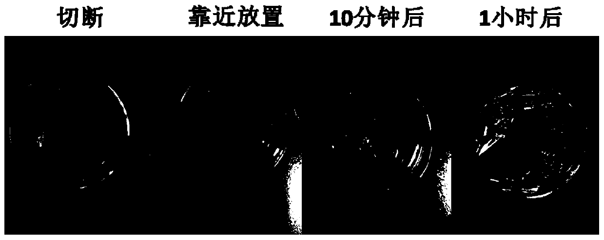 Electrolyte with self-repairing function and preparation method of solid-state battery