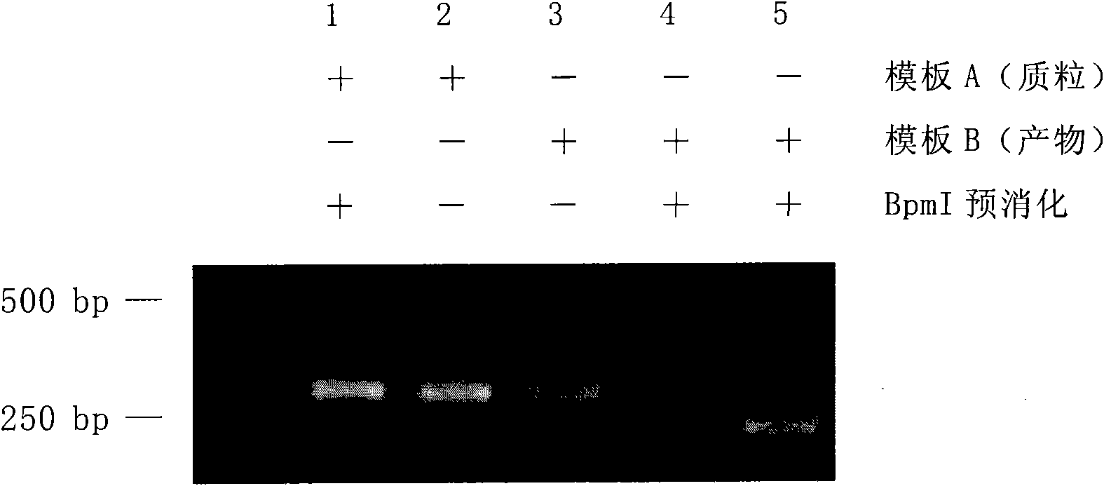 Method for preventing PCR pollution by using restriction endonucleases