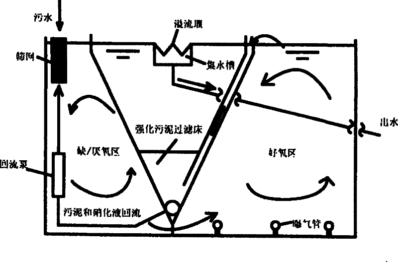 Integral sewage disposal process for strengthening sludge filtrating technology