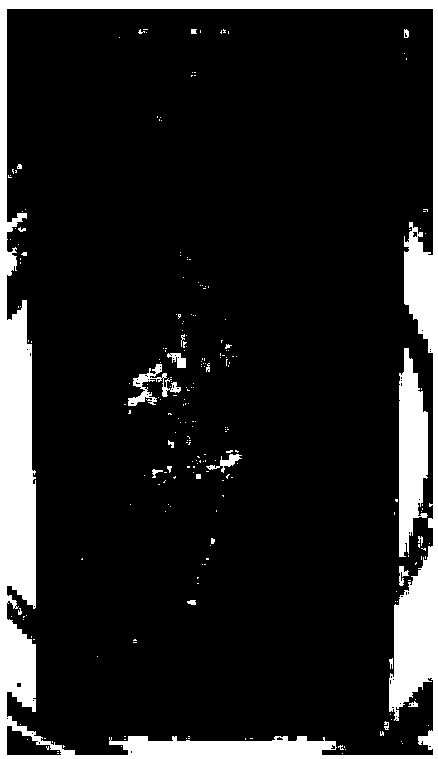 Fully-synthetic water-based anti-rust complex agent, and evaluation method and application thereof