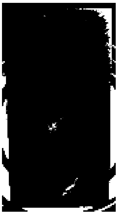 Fully-synthetic water-based anti-rust complex agent, and evaluation method and application thereof