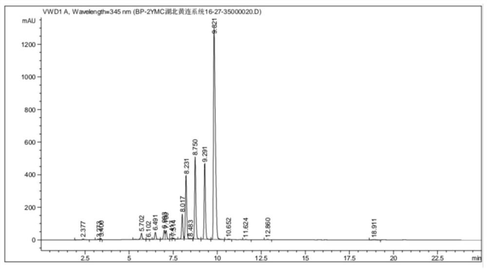 Extraction method and detection method of alkaloid in coptis chinensis