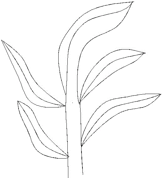 Detecting device and method for chlorophyll content of field maize plant leaves