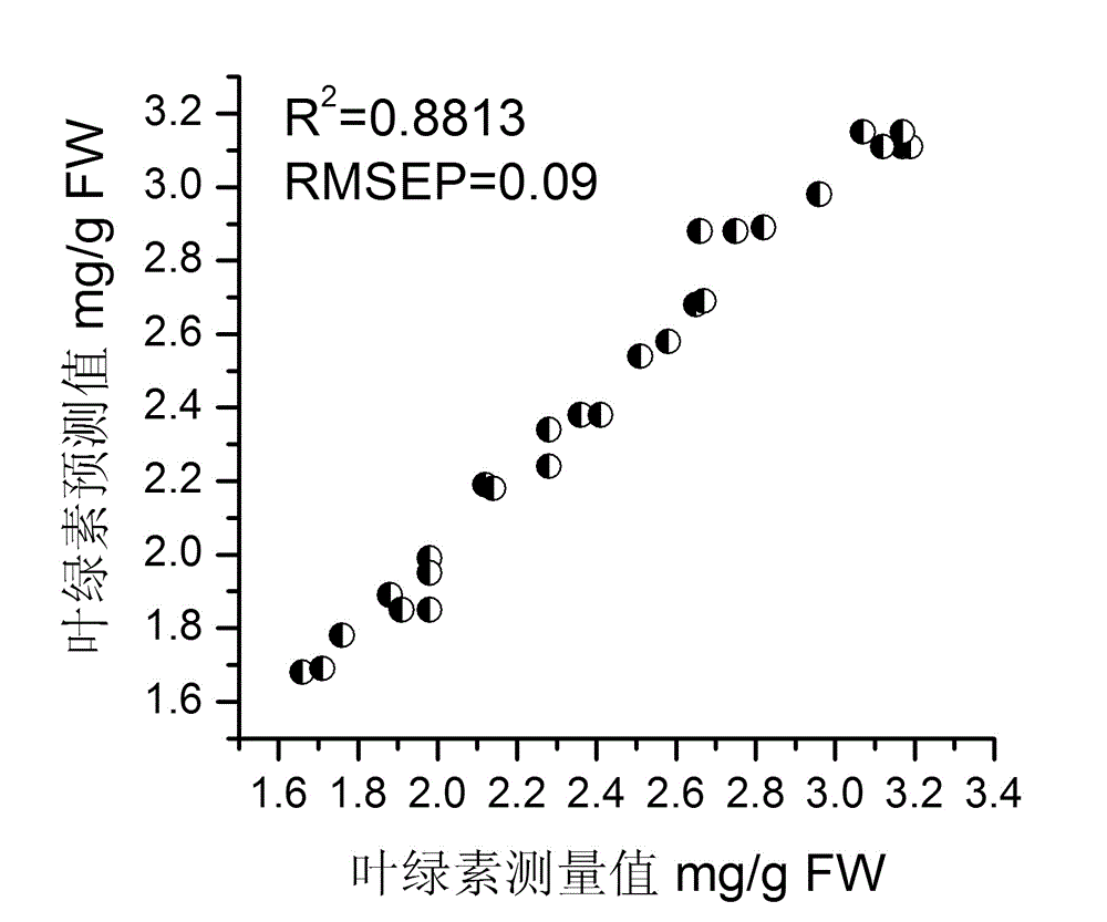 Detecting device and method for chlorophyll content of field maize plant leaves