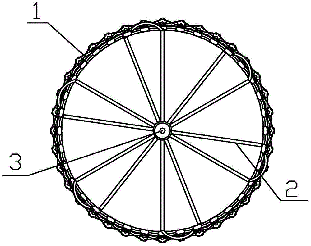 vena cava filter