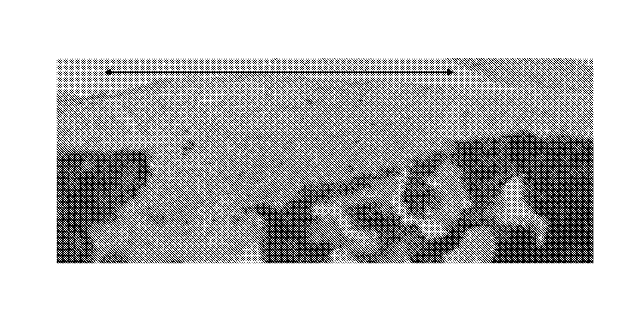 Chondrogenic progenitor cells, protocol for derivation of cells and uses thereof