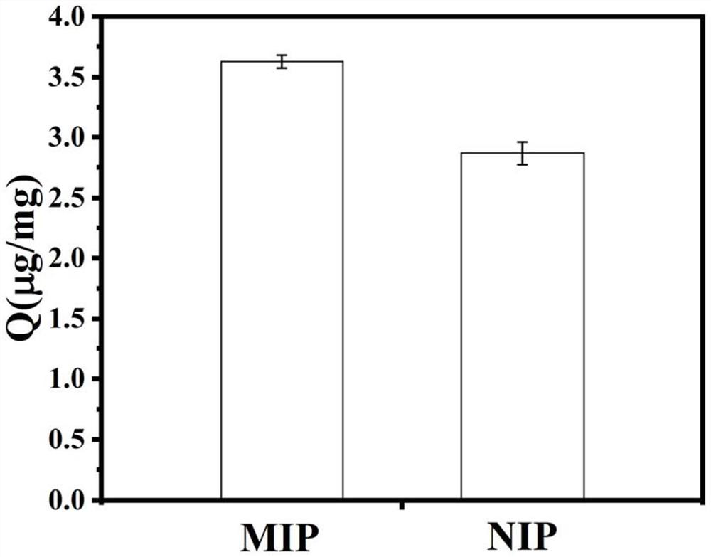 One-step method for preparing neonicotinoid pesticide core-shell mesoporous surface molecularly imprinted polymer