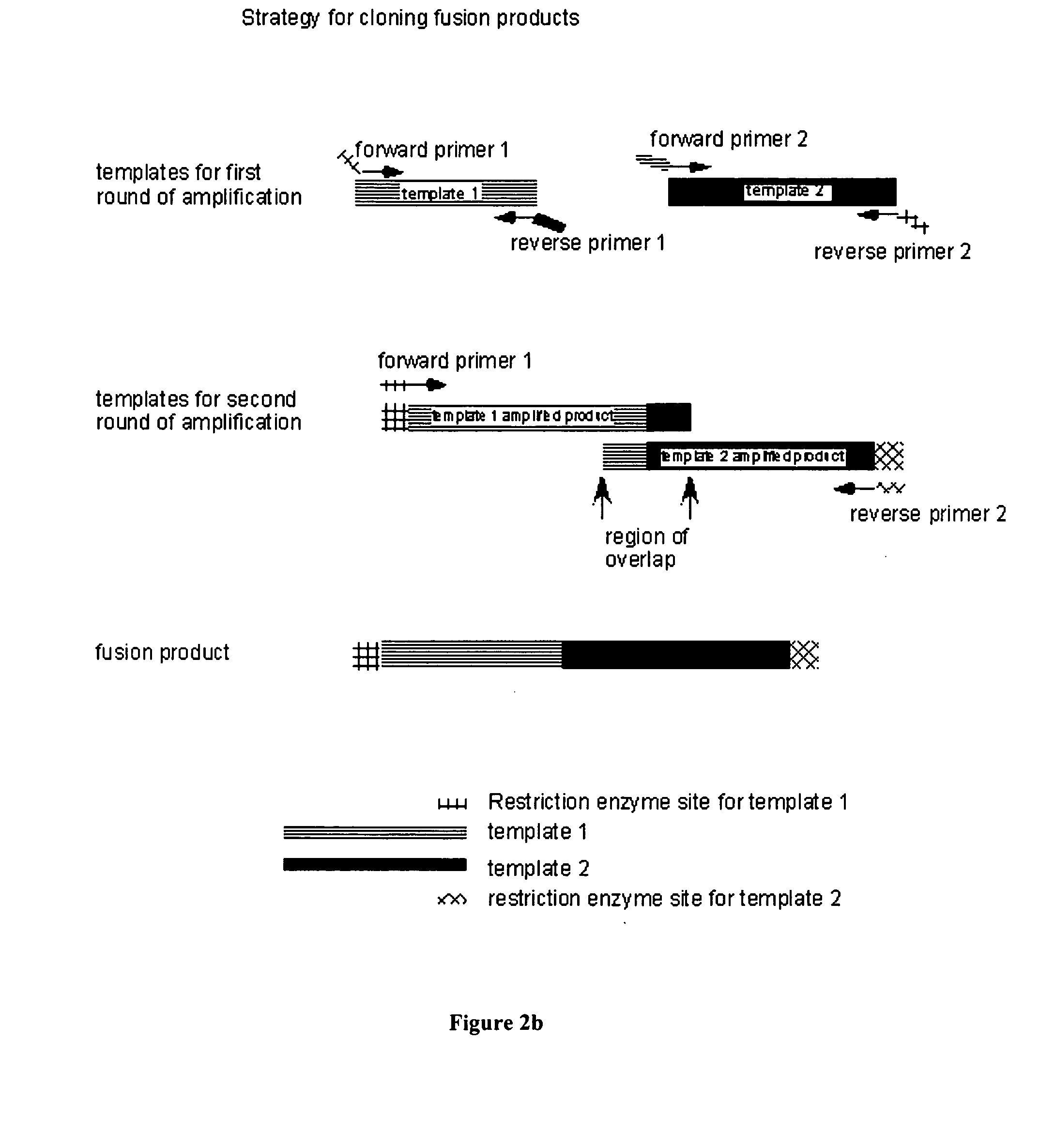 Altering levels of anti-nutrient factors in plants