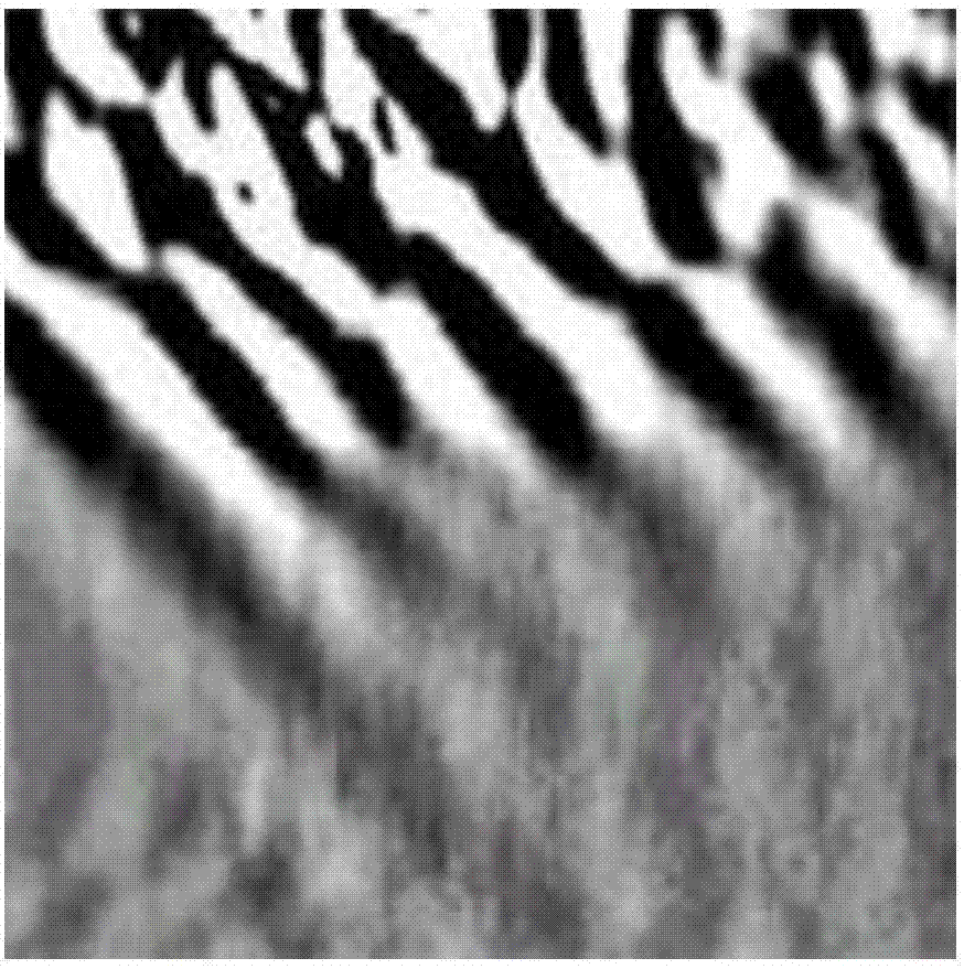 Method for borehole radar image rock stratum classification based on texture features