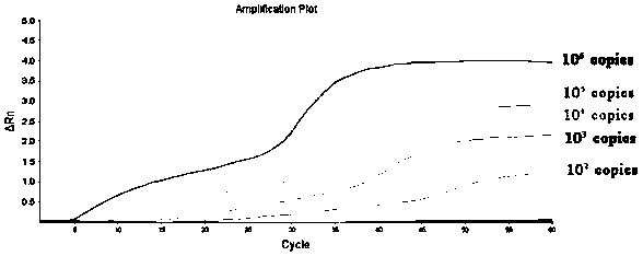 Primer probe for identifying novel coronavirus and application of primer probe in triple fluorescent RPA