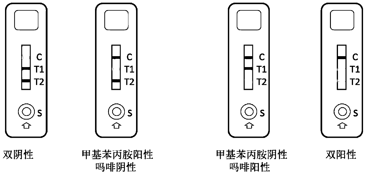 Duplex test strip for detecting methamphetamine and morphine as well as preparation method and application method of duplex test strip