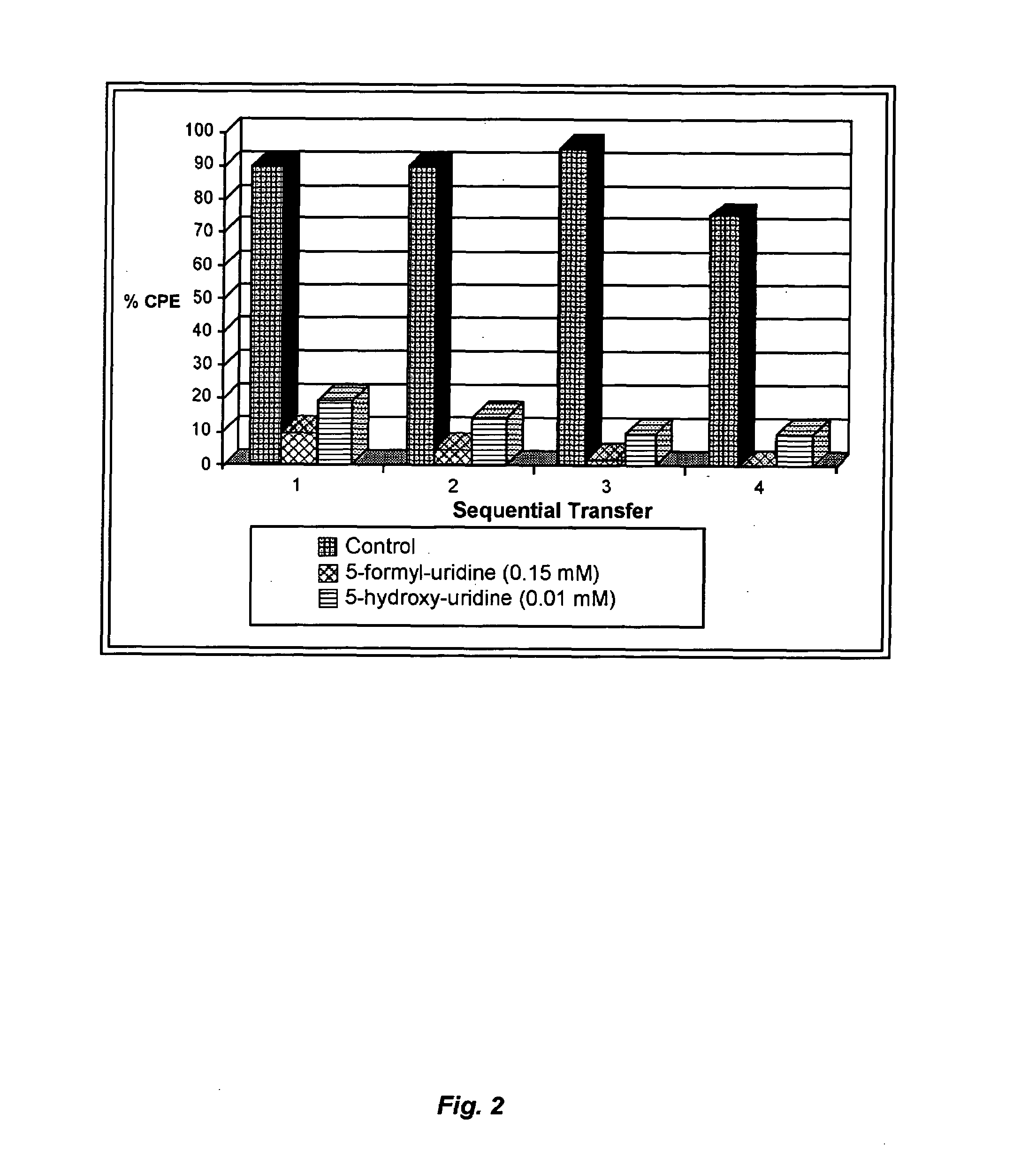 Mutagenic nucleoside analogs for the treatment of viral disease