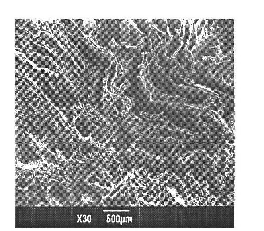 Tissue engineering cartilage framework material, as well as preparation method and device thereof