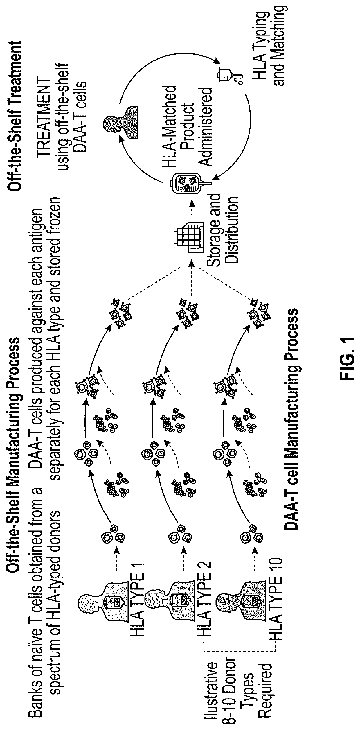 Methods and delivery of allogeneic cell products