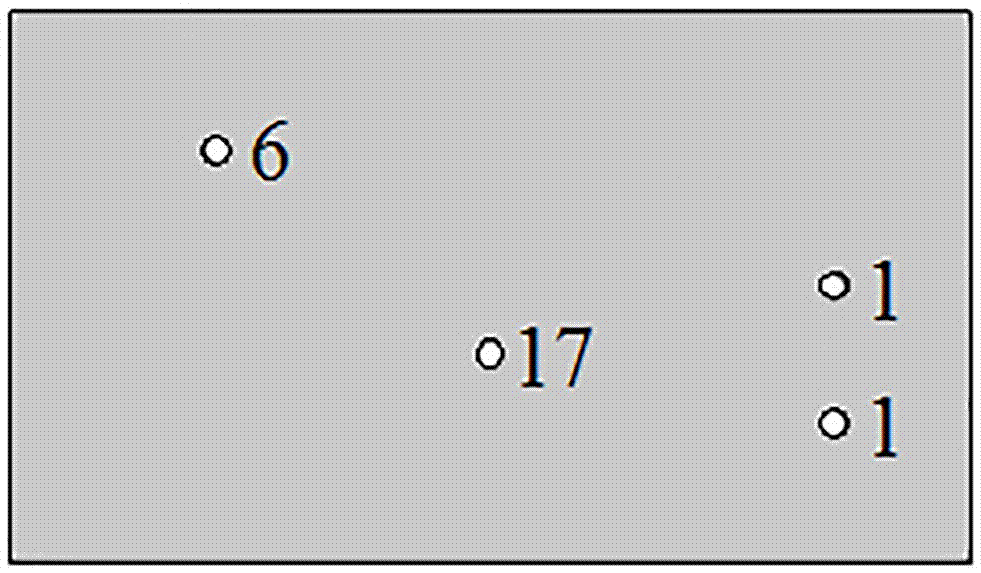 Micro-total analysis system chip used for integral detection of heavy metal ions