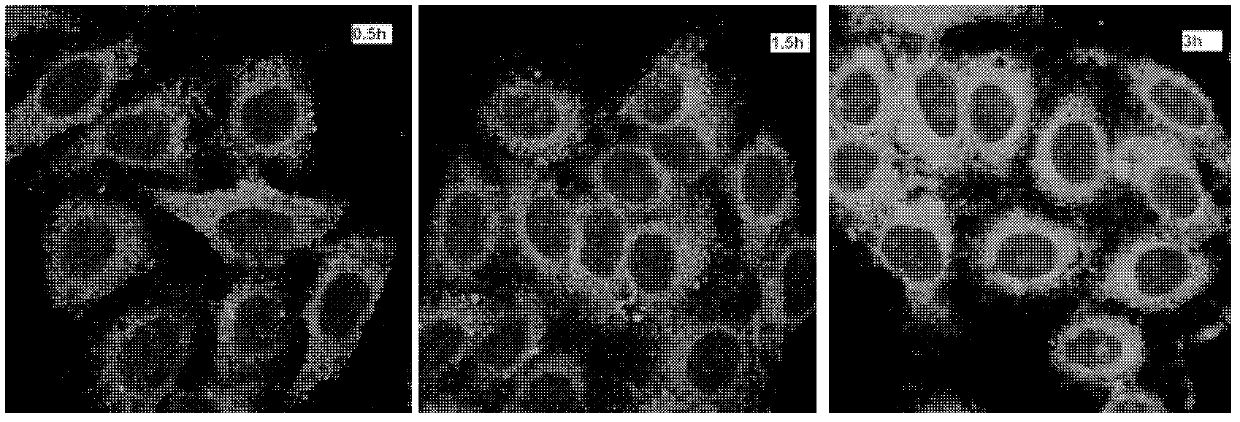 Three-dimensional nanometer graphene based on triptycene and preparation method thereof